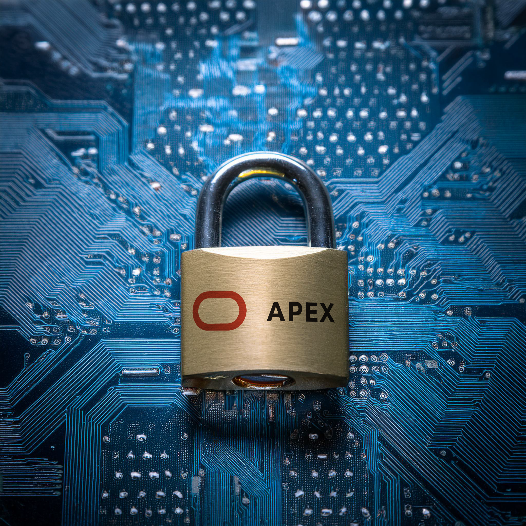 Securing APEX